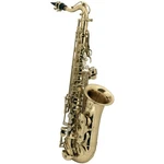 Roy Benson AS-201 Eb-alto Children's Saxophone New. Price: $895.37.