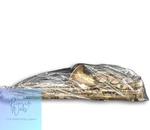 Cannonball Alto Saxophone A5-BR High-performance Model Used. Price: $3673.86.