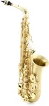 Selmer SAS711 Professional Alto Saxophone - Matte New. Price: $3939.00.