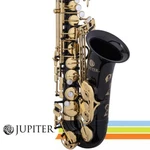 Jupiter Performance Series Black Onyx Alto Saxophone JAS1100GOQ New. Price: $3474.00.