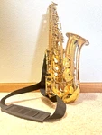 Great Condition Alto Saxophone: Cannonball Salt Lake City Alcazar Gold Lacquer Used. Price: $1400.00.