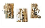 Hollywood Winds Tenor Saxophone Key Clamps New. Price: $24.97.