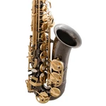 Selmer SAS511B Alto Saxophone In Eb - Black Nickel Open Box New. Price: $3239.00.