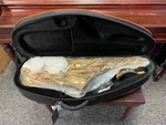 Eldon TS-22 Student Bb Tenor Saxophone (incl. Case) New. Price: $699.00.
