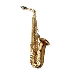Yanagisawa Model AWO2 Professional Bronze Alto Saxophone Brand New. Price: $5859.00.
