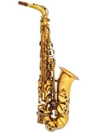 Hermes Alto Saxophone With Protective Case Used. Price: $550.00.