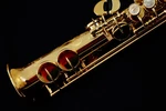 New Yanagisawa SN-981 Sopranino Saxophone Free Shipping. Price: $5179.00.
