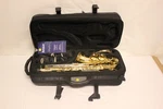 Selmer AS-42 Alto Saxophone With Case D1 Used. Price: $1648.99.