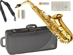 Yanagisawa Alto Saxophone A-WO1 AWO1 With Hard Case Japan New. Price: $2795.00.
