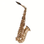 F.e. Olds NAS110WC Student Alto Saxophone New. Price: $1939.00.