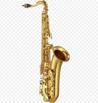 Yamaha YAS-875EXII Custom Professional Eb Alto Saxophone Gold Lacquered New. Price: $5689.99.