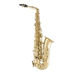 Selmer SAS711 Professional Eb Alto Saxophone - Brass Lacquer New. Price: $3659.00.