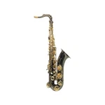 Pro 1 E.m. Winston Boston Tenor Saxophone Black New, Play Tested Open. Price: $950.00.