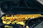 Selmer Paris Supreme 92M Gold Lacquer Alto Saxophone Ready Ship! Used. Price: $6500.00.