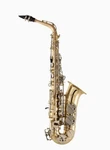 Selmer SAS301 Student Alto Saxophone - Lacquer New. Price: $1490.00.