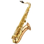 Yanagisawa T-WO20 Bronze Brass Elite Professional Tenor Saxophone Heavy Weight New. Price: $5302.26.