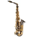 Selmer SAS511B Intermediate Alto Saxophone Black Nickel Plated New. Price: $3299.00.