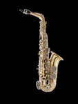 Selmer SAS301 Alto Saxophone Outfit New. Price: $2719.00.