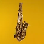 Hunter Yew York Saxophone Used. Price: $199.00.