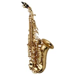 Yanagisawa SCWO10 Curved Soprano Saxophone Yellow Brass New. Price: $8686.99.