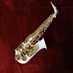 8812 Soleil SAL-1 White Alto Saxophone Used. Price: $540.05.