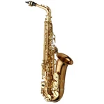 Yanagisawa AW02 Professional Alto Saxophone Bronze New. Price: $7178.99.