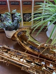 Selmer #STS411 Premium Clear Lacquer Tenor Saxophone Outfit Open. Price: $2800.00.
