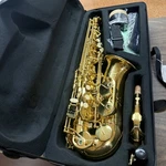 Eb Alto Saxophone - Beginner & Professional, Student Adult Antique Gold Meperg New. Price: $179.99.