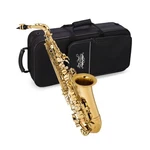 Jean Paul AS-400 Alto Saxophone Golden Brass Lacquered Only New. Price: $942.89.
