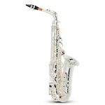 Allora AAS550 Paris Series Alto Saxophone Silver Plated New. Price: $2449.00.