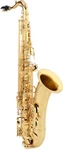 Yanagisawa T-WO10 Elite Professional Tenor Saxophone Lacquer Very. Price: $5745.15.