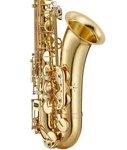 Antigua Winds TS3108 Intermediate Bb Tenor Saxophone - Lacquered New. Price: $2063.00.