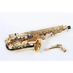 Prelude Alto Saxophone Outfit Regular, Lacquer, Yellow Brass Keys 19788118393 Used. Price: $944.25.