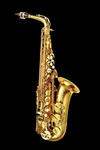 P. Mauriat PMSA-185ABS Advanced Alto Saxophone Outfit Gold Lacquer New. Price: $2299.00.