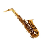 Eastern Music Mark Vi Style Dark Gold Lacquered Alto Saxophone With Flight Case. Price: $499.00.