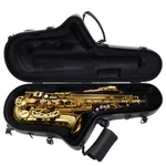 Eastman Model EAS650 'rue Saint-georges' Alto Saxophone Sn A2440458 Open Box. Price: $2499.00.