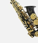 Alto Saxophone Slade, With Case, Neckstrap, Cleaning Brush, Gloves, Etc. New. Price: $400.00.