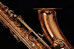 New 2026 Yanagisawa T-WO2 (TWO2) Bronze Tenor Saxophone Brass Barn. Price: $4099.00.
