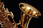 New 2026 Yanagisawa T-WO1 (TWO1) Tenor Saxophone Full Retail Kit. Price: $3789.00.