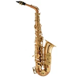 Selmer SAS511C Intermediate Eb Alto Saxophone Copper Finish New. Price: $3299.00.