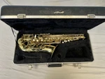 Antigua X/p Series Alto Saxophone Body + Case For. Price: $99.99.