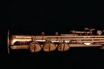 Brand New 2026 Yanagisawa S-WO2 (SWO2) Professional Bronze Soprano Saxophone. Price: $3999.00.