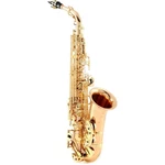 Yanagisawa Model AWO20 'elite' Alto Saxophone In Bronze Brand New. Price: $7239.00.
