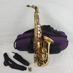 Stephanhouser ZAS600-LQ Alto Saxophone W/ Carry Case (EC3029123) Used. Price: $699.99.