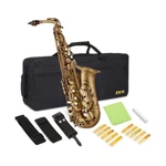 Alto Saxophone Flat Brass Kit, Professional Sound, Complete Accessories.... Price: $381.03.