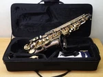 Merano Alto Student Saxophone Nice With Case Used. Price: $232.46.