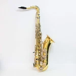 Blessing BTS-1287 Saxophone Used. Price: $550.00.